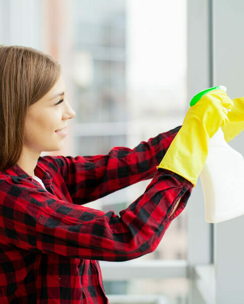 Window Cleaning